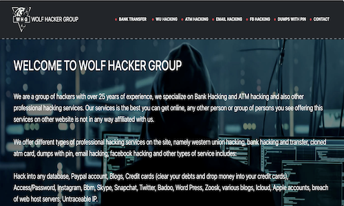 Wolf hacker group